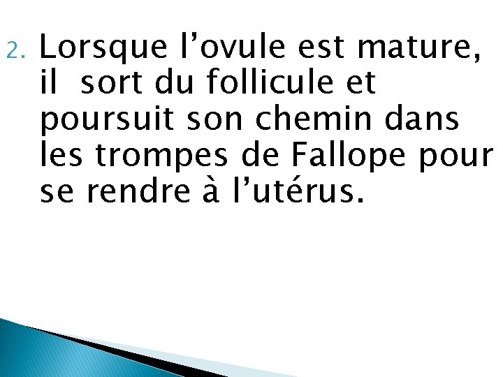 2. Lorsque l’ovule est mature, il sort du follicule et poursuit son chemin dans