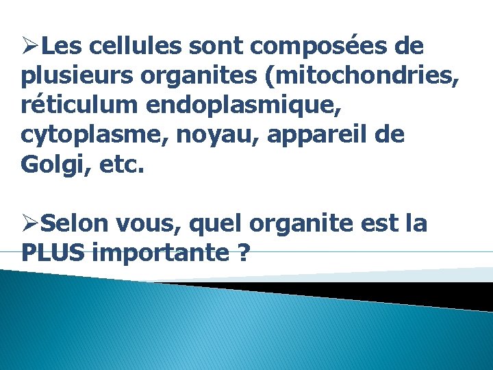 ØLes cellules sont composées de plusieurs organites (mitochondries, réticulum endoplasmique, cytoplasme, noyau, appareil de