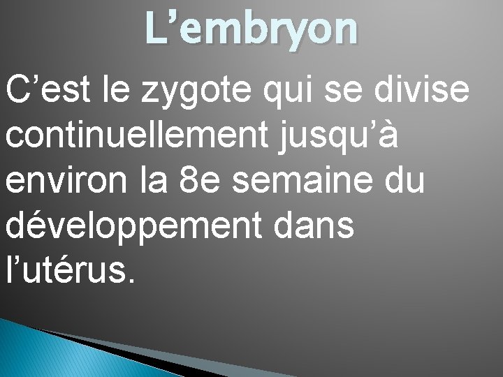 L’embryon C’est le zygote qui se divise continuellement jusqu’à environ la 8 e semaine