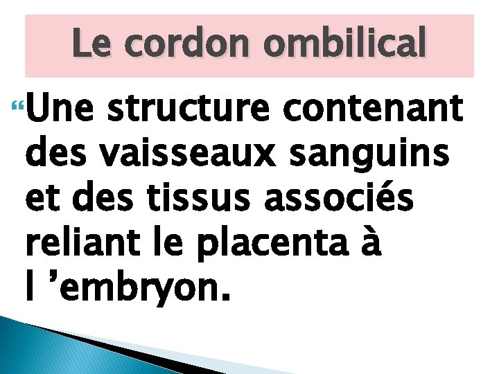 Le cordon ombilical Une structure contenant des vaisseaux sanguins et des tissus associés reliant
