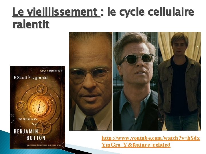 Le vieillissement : le cycle cellulaire ralentit http: //www. youtube. com/watch? v=h. Sdx Ym.