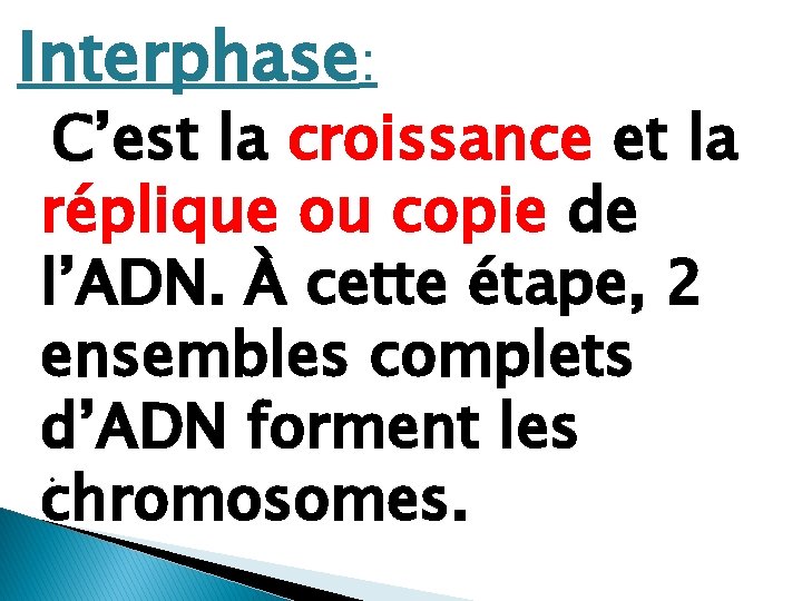 Interphase: C’est la croissance et la réplique ou copie de l’ADN. À cette étape,