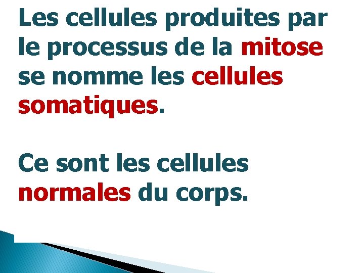 Les cellules produites par le processus de la mitose se nomme les cellules somatiques.