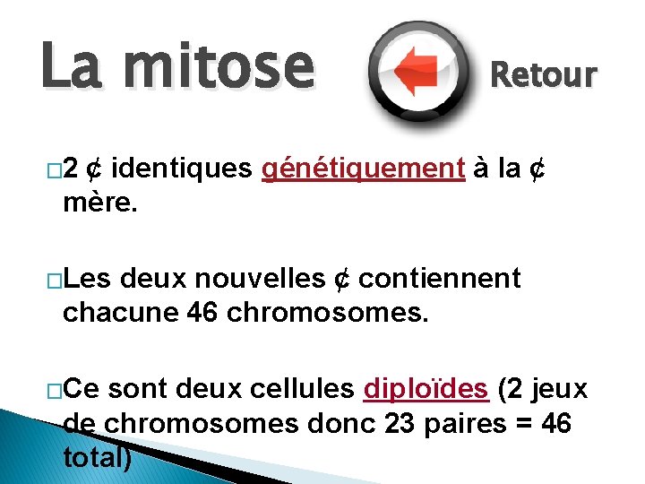 La mitose Retour � 2 ¢ identiques génétiquement à la ¢ mère. �Les deux