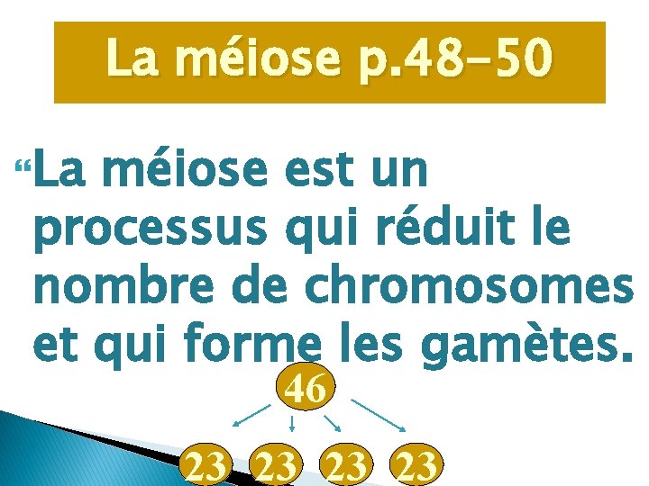 La méiose p. 48 -50 La méiose est un processus qui réduit le nombre