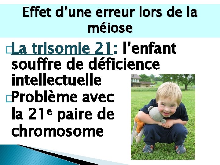 Effet d’une erreur lors de la méiose �La trisomie 21: l’enfant souffre de déficience