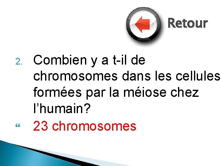 Retour 2. Combien y a t-il de chromosomes dans les cellules formées par la