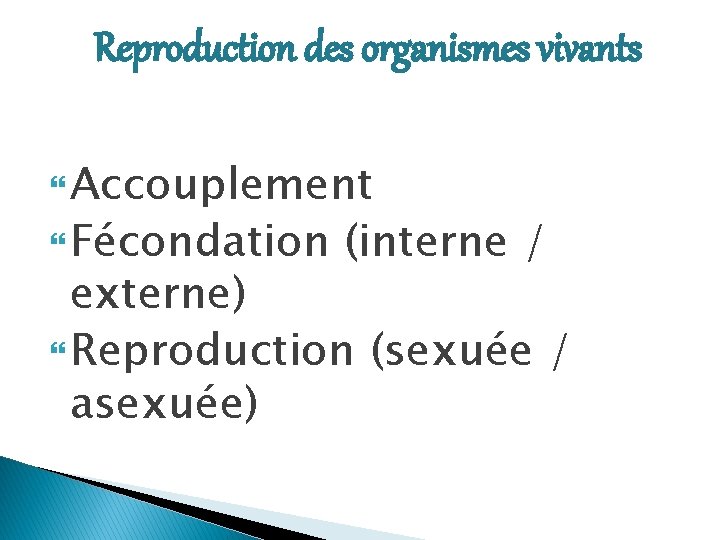 Reproduction des organismes vivants Accouplement Fécondation (interne / externe) Reproduction (sexuée / asexuée) 
