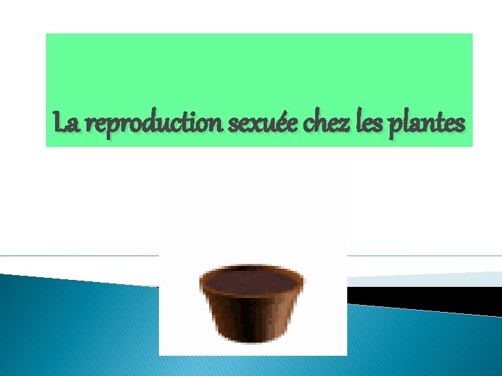 La reproduction sexuée chez les plantes 