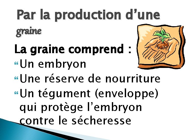 Par la production d’une graine La graine comprend : Un embryon Une réserve de