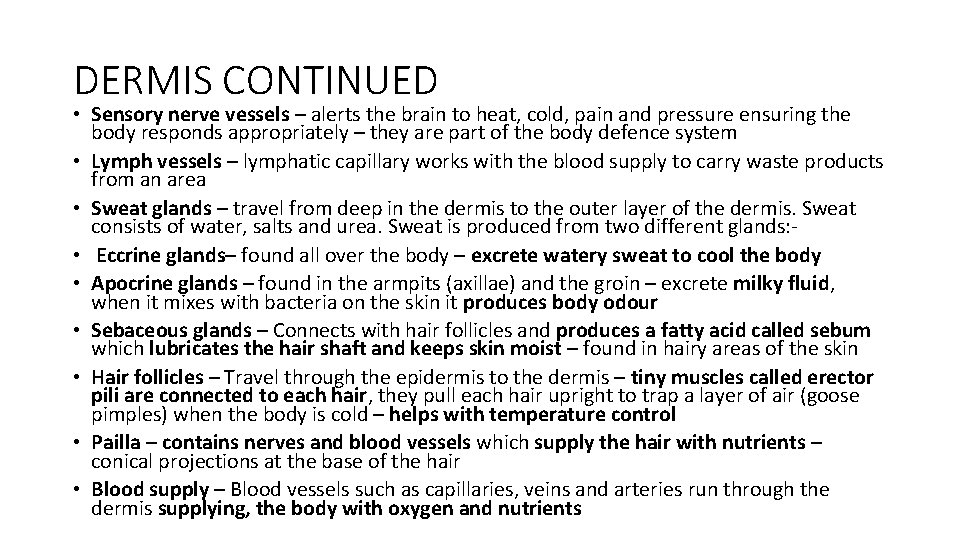 DERMIS CONTINUED • Sensory nerve vessels – alerts the brain to heat, cold, pain