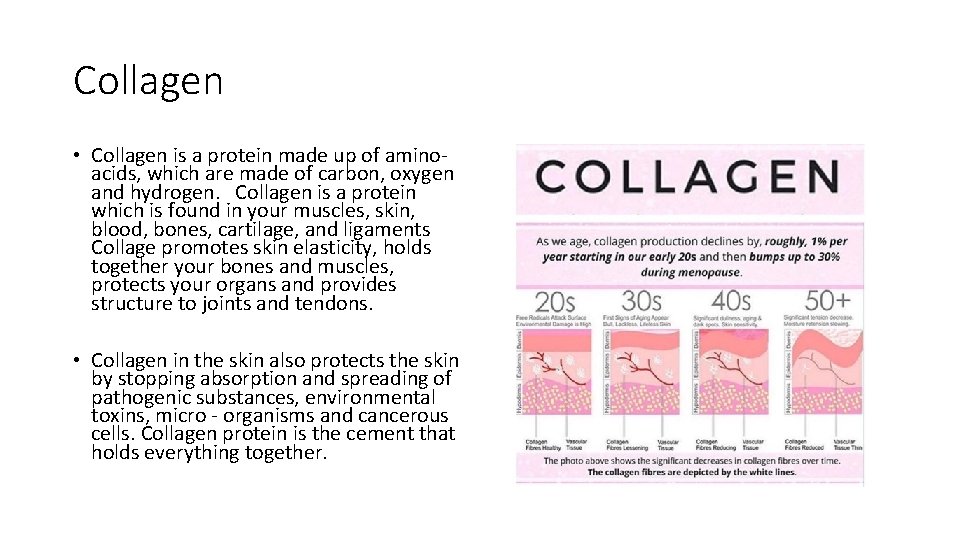 Collagen • Collagen is a protein made up of aminoacids, which are made of