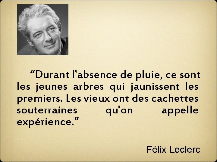  “Durant l'absence de pluie, ce sont les jeunes arbres qui jaunissent les premiers.