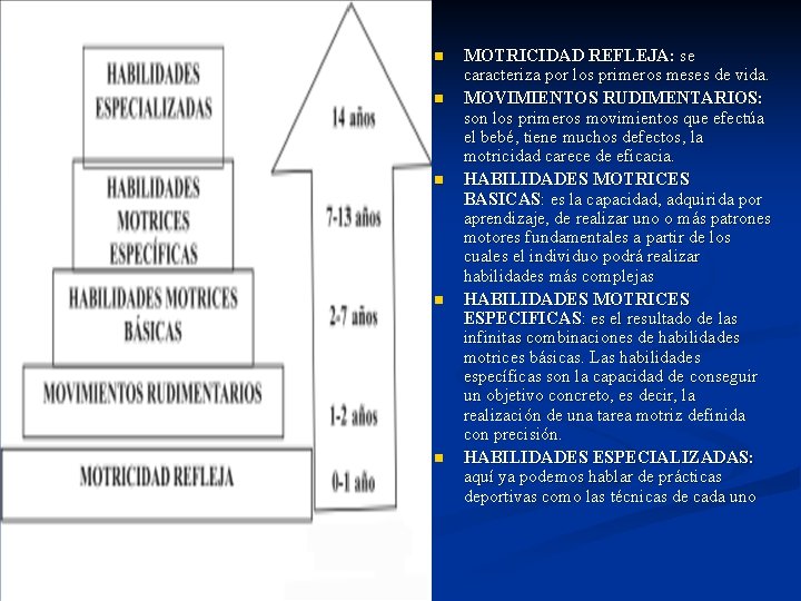 n n n MOTRICIDAD REFLEJA: se caracteriza por los primeros meses de vida. MOVIMIENTOS