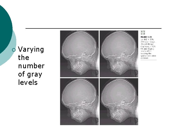 ¡ Varying the number of gray levels 