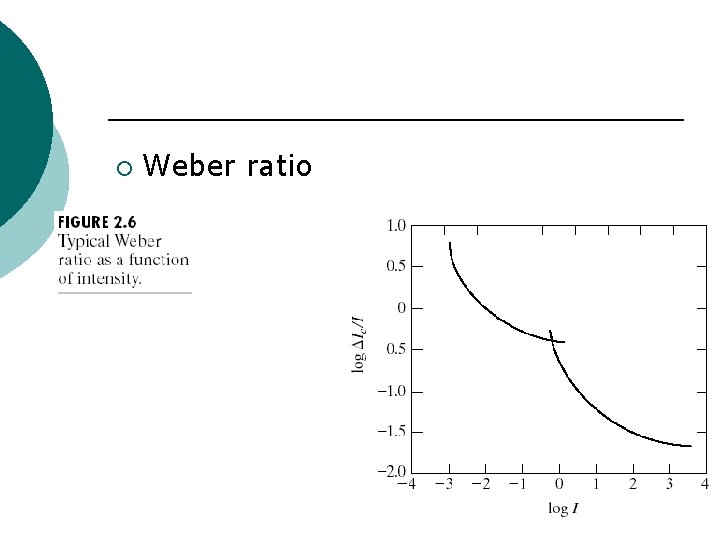 ¡ Weber ratio 