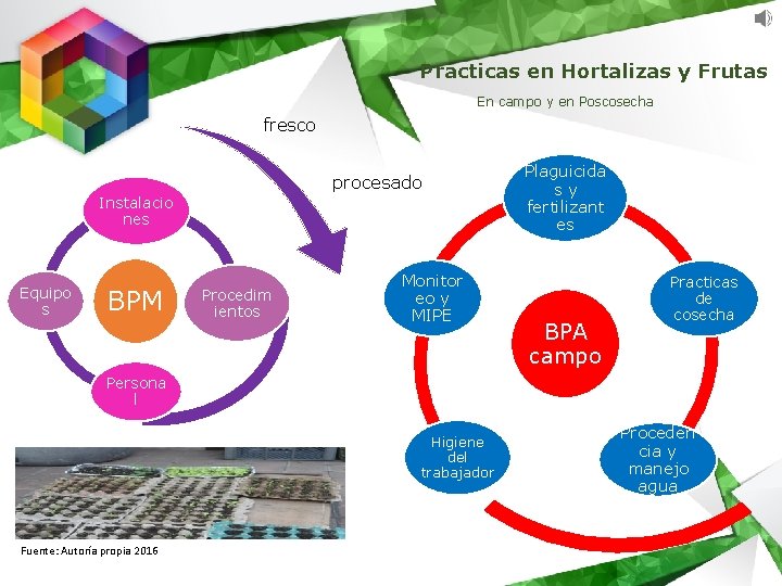 Practicas en Hortalizas y Frutas En campo y en Poscosecha fresco procesado Instalacio nes