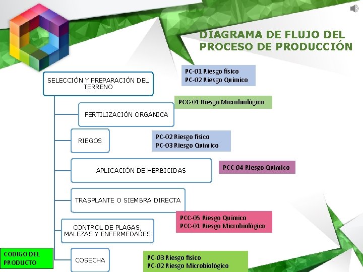 DIAGRAMA DE FLUJO DEL PROCESO DE PRODUCCIÓN PC-01 Riesgo físico PC-02 Riesgo Químico SELECCIÓN