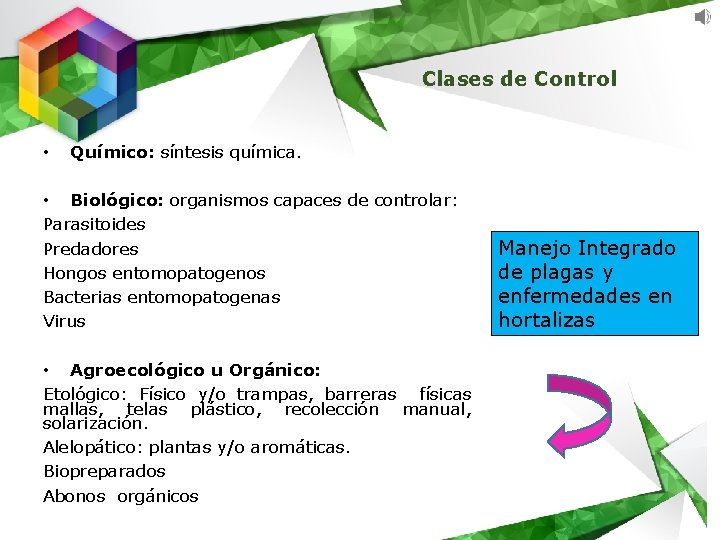 Clases de Control • Químico: síntesis química. • Biológico: organismos capaces de controlar: Parasitoides