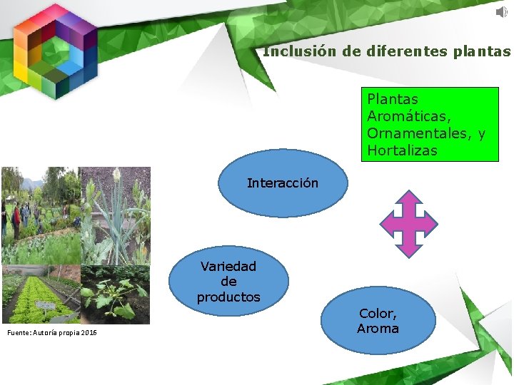 Inclusión de diferentes plantas Plantas Aromáticas, Ornamentales, y Hortalizas Interacción Variedad de productos Fuente: