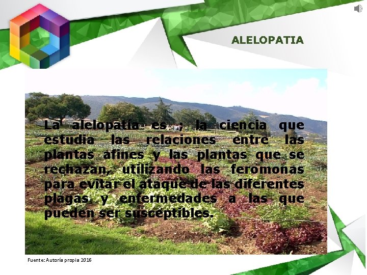 ALELOPATIA La alelopatía es ; la ciencia que estudia las relaciones entre las plantas