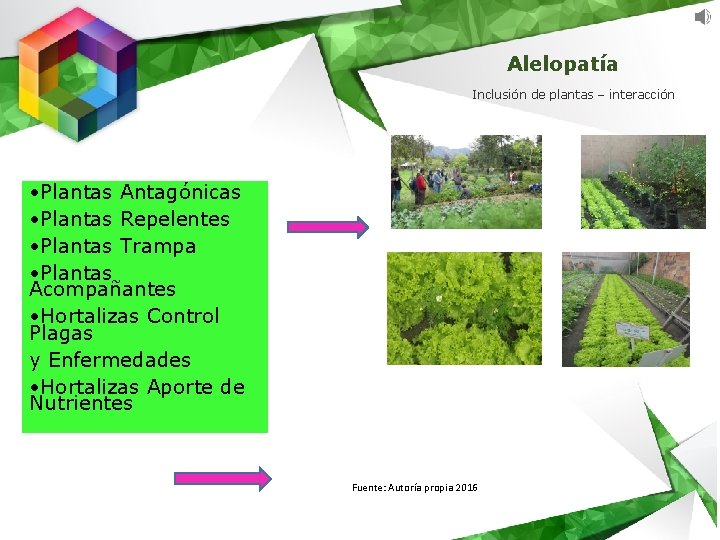 Alelopatía Inclusión de plantas – interacción • Plantas Antagónicas • Plantas Repelentes • Plantas