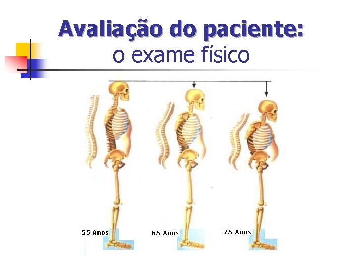 Avaliação do paciente: o exame físico Avaliação do paciente: o exame físico