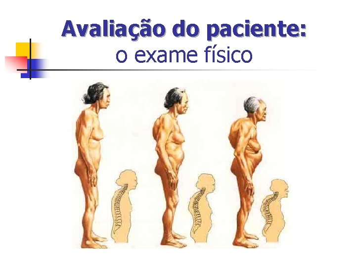 Avaliação do paciente: o exame físico Avaliação do paciente: o exame físico