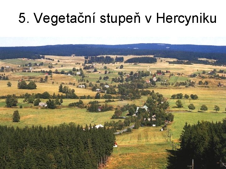 5. Vegetační stupeň v Hercyniku 