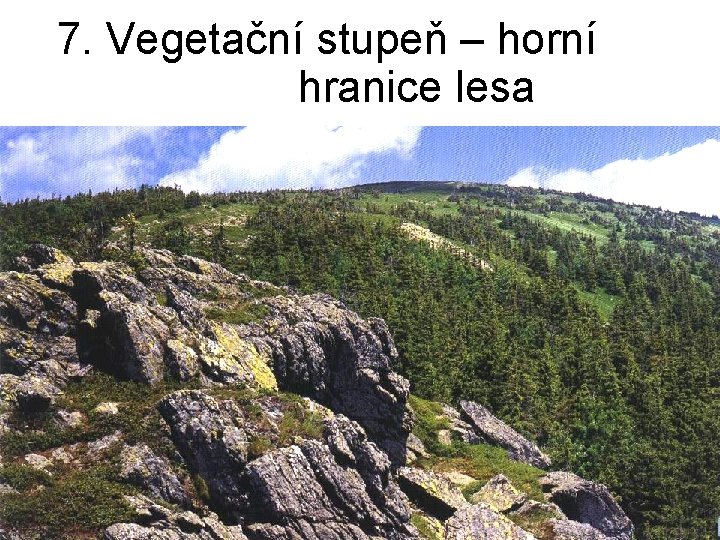 7. Vegetační stupeň – horní hranice lesa 