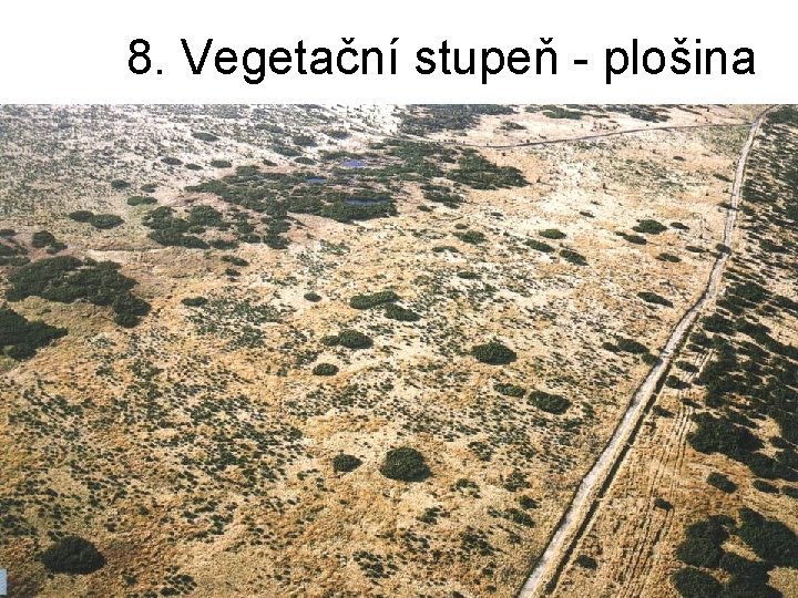 8. Vegetační stupeň - plošina 