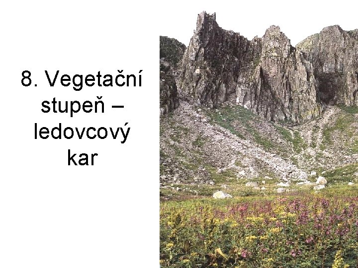 8. Vegetační stupeň – ledovcový kar 