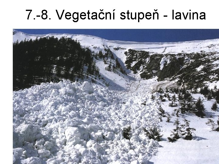 7. -8. Vegetační stupeň - lavina 