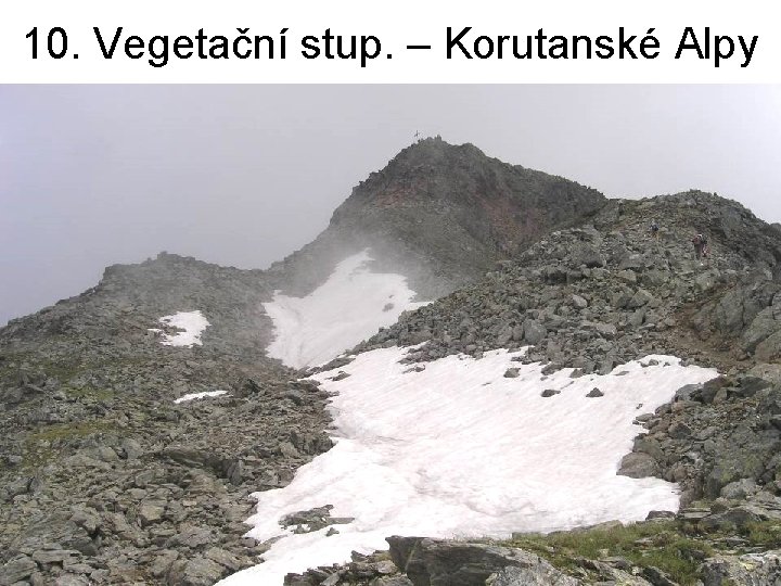 10. Vegetační stup. – Korutanské Alpy 