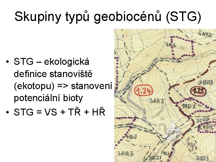 Skupiny typů geobiocénů (STG) • STG – ekologická definice stanoviště (ekotopu) => stanovení potenciální