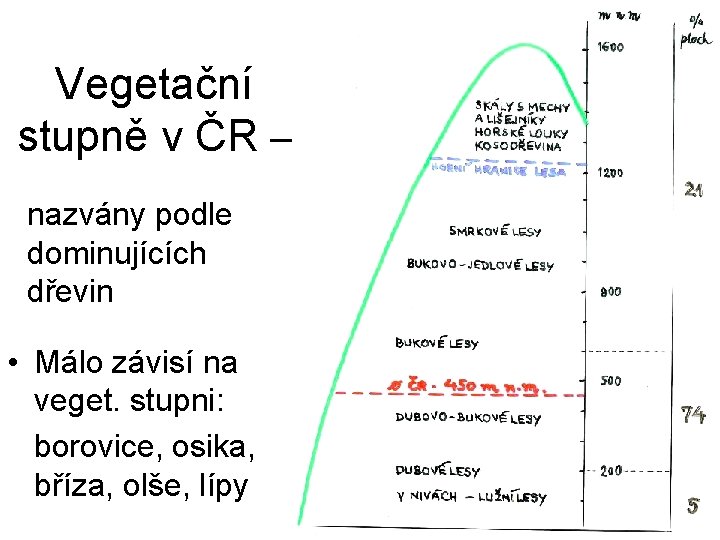 Vegetační stupně v ČR – nazvány podle dominujících dřevin • Málo závisí na veget.