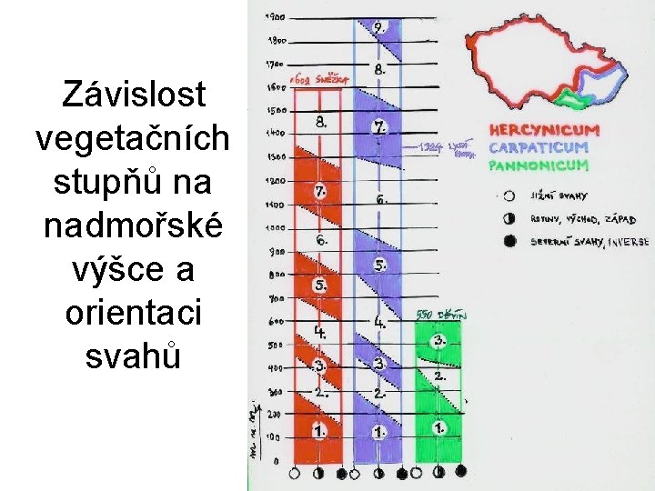 Závislost vegetačních stupňů na nadmořské výšce a orientaci svahů 