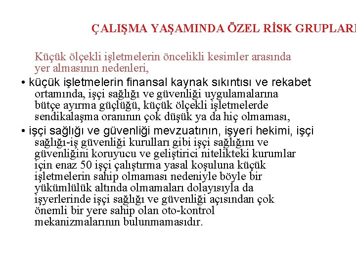 ÇALIŞMA YAŞAMINDA ÖZEL RİSK GRUPLARI Küçük ölçekli işletmelerin öncelikli kesimler arasında yer almasının nedenleri,