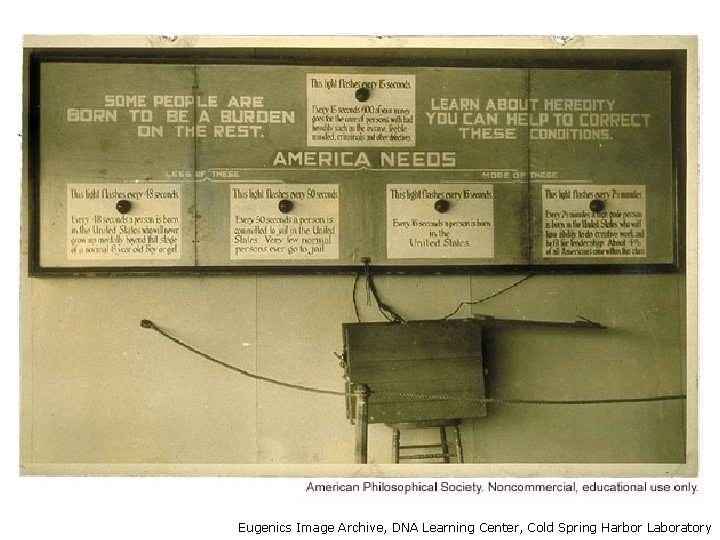 Eugenics Image Archive, DNA Learning Center, Cold Spring Harbor Laboratory 