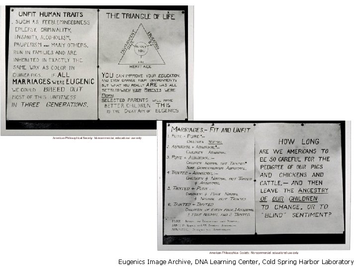 Eugenics Image Archive, DNA Learning Center, Cold Spring Harbor Laboratory 