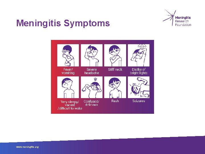 Meningitis Symptoms www. meningitis. org 