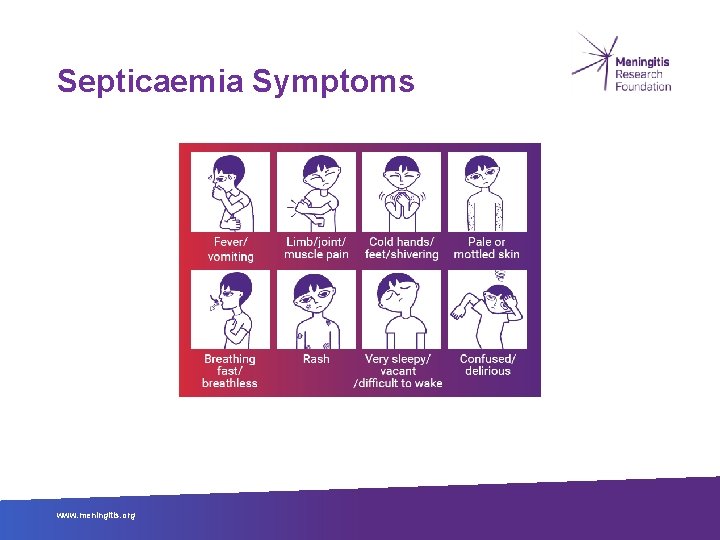 Septicaemia Symptoms www. meningitis. org 