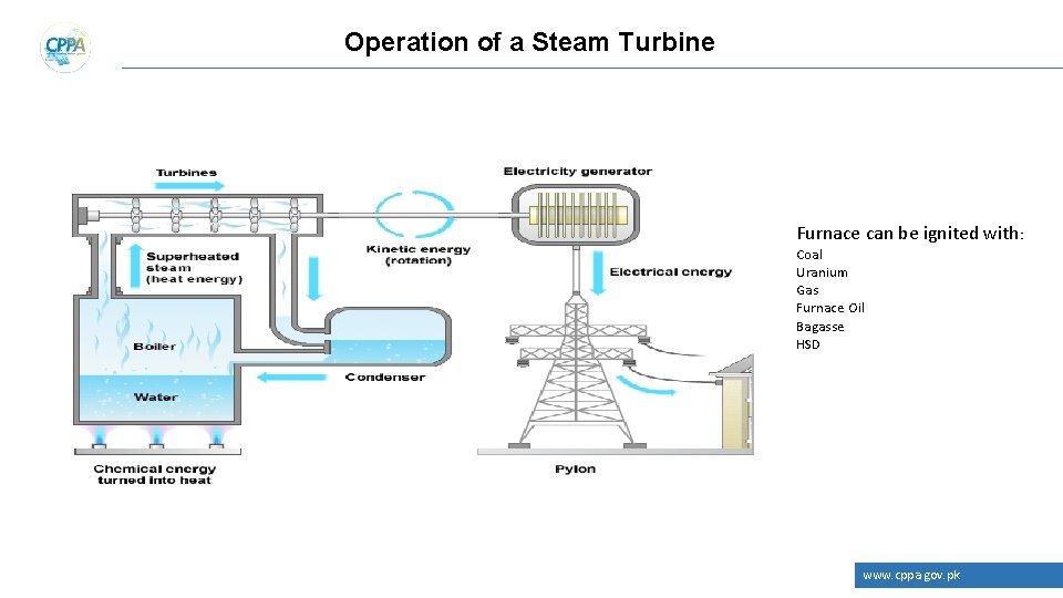 Operation of a Steam Turbine Furnace can be ignited with: Coal Uranium Gas Furnace