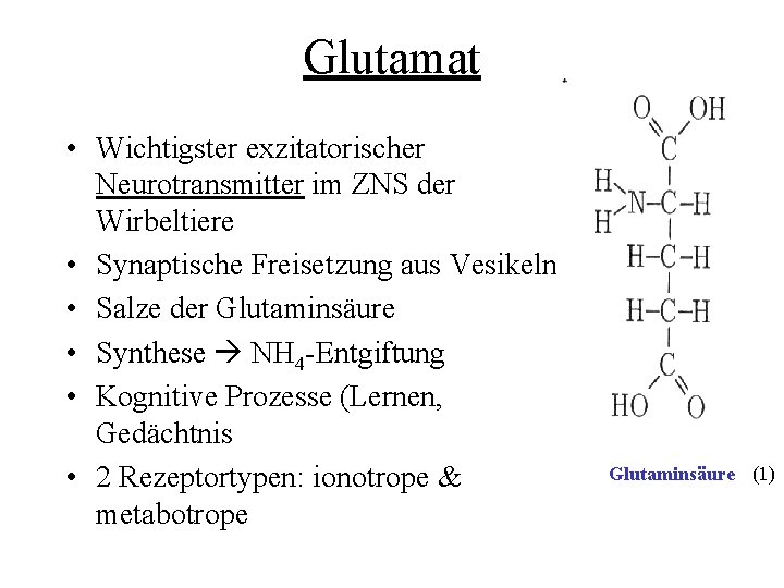 Glutamat • Wichtigster exzitatorischer Neurotransmitter im ZNS der Wirbeltiere • Synaptische Freisetzung aus Vesikeln