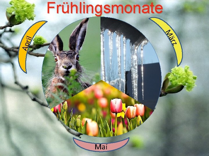 Frühlingsmonate rz Apr il Mä Mai 