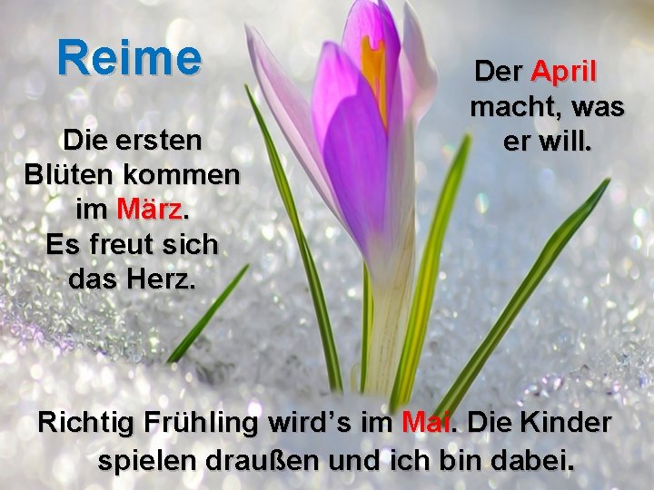 Reime Die ersten Blüten kommen im März. Es freut sich das Herz. Der April