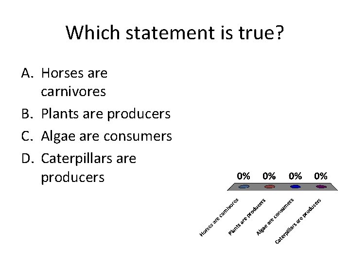 Which statement is true? A. Horses are carnivores B. Plants are producers C. Algae