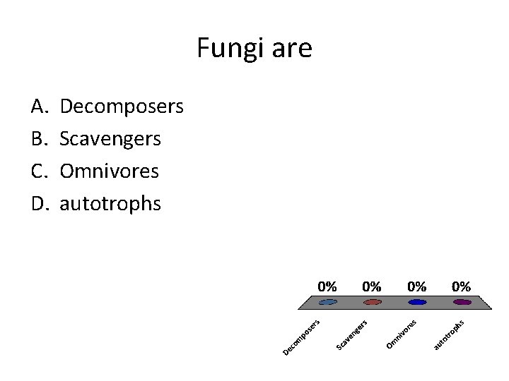 Fungi are A. B. C. D. Decomposers Scavengers Omnivores autotrophs 