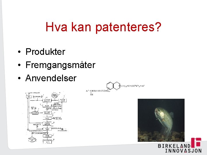 Hva kan patenteres? • Produkter • Fremgangsmåter • Anvendelser 