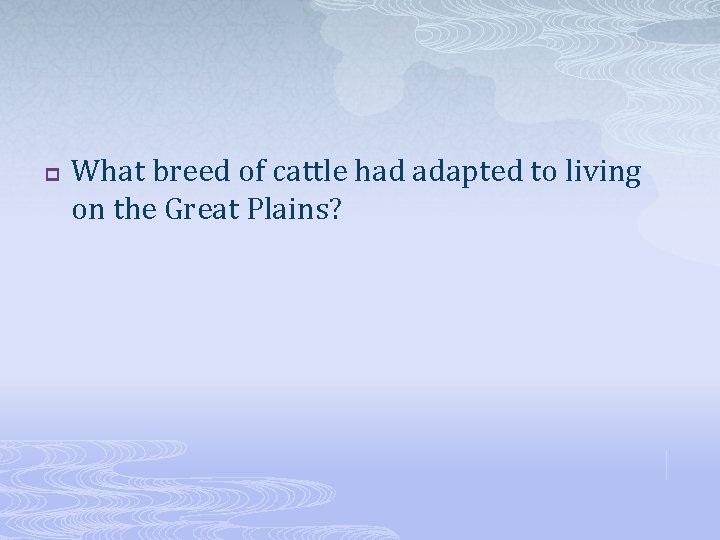 p What breed of cattle had adapted to living on the Great Plains? 